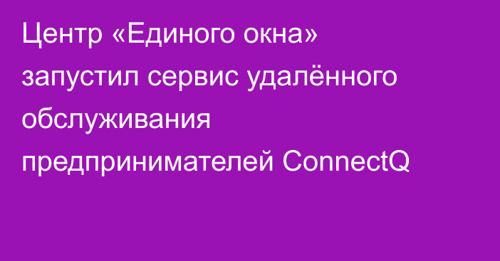 Центр «Единого окна» запустил сервис удалённого обслуживания предпринимателей ConnectQ