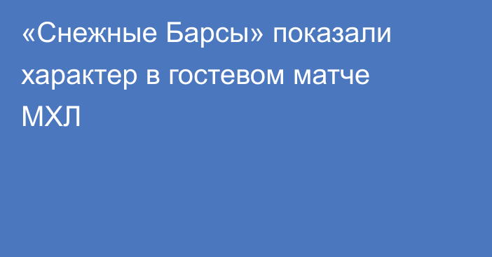 «Снежные Барсы» показали характер в гостевом матче МХЛ