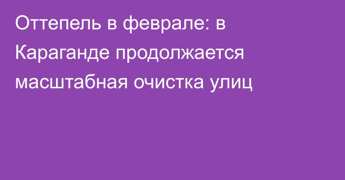 Оттепель в феврале: в Караганде продолжается масштабная очистка улиц