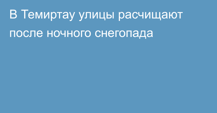 В Темиртау улицы расчищают после ночного снегопада