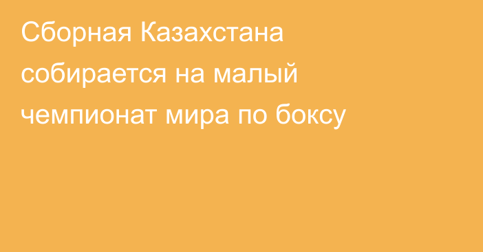 Сборная Казахстана собирается на малый чемпионат мира по боксу