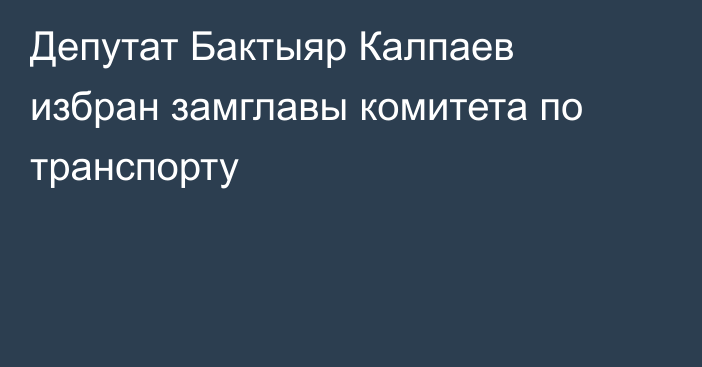 Депутат Бактыяр Калпаев избран замглавы комитета по транспорту