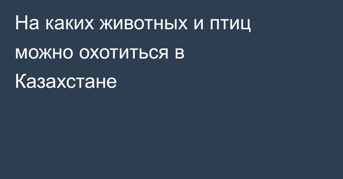 На каких животных и птиц можно охотиться в Казахстане