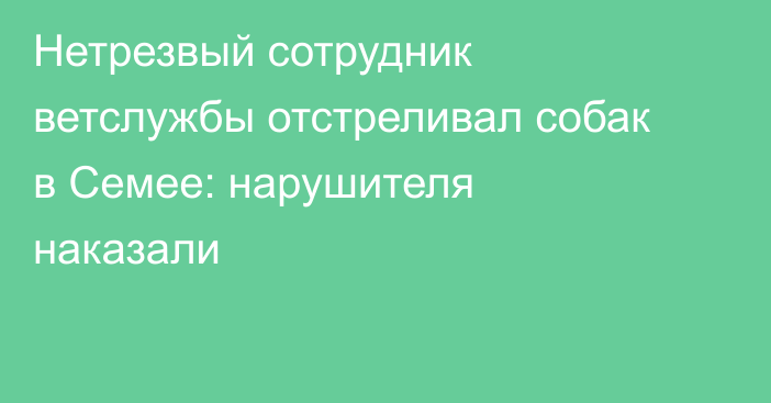 Нетрезвый сотрудник ветслужбы отстреливал собак в Семее: нарушителя наказали