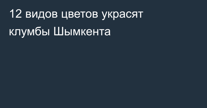 12 видов цветов украсят клумбы Шымкента