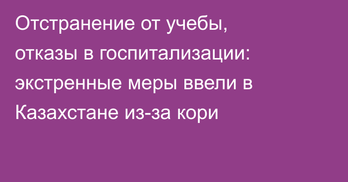 Отстранение от учебы, отказы в госпитализации: экстренные меры ввели в Казахстане из-за кори