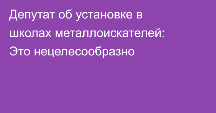 Депутат об установке в школах металлоискателей: Это нецелесообразно
