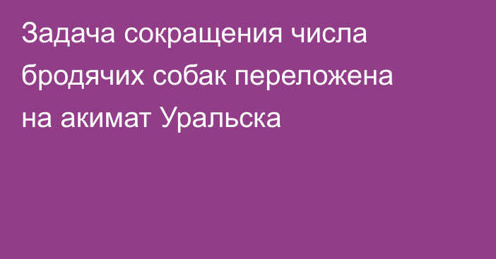 Задача сокращения числа бродячих собак переложена на акимат Уральска