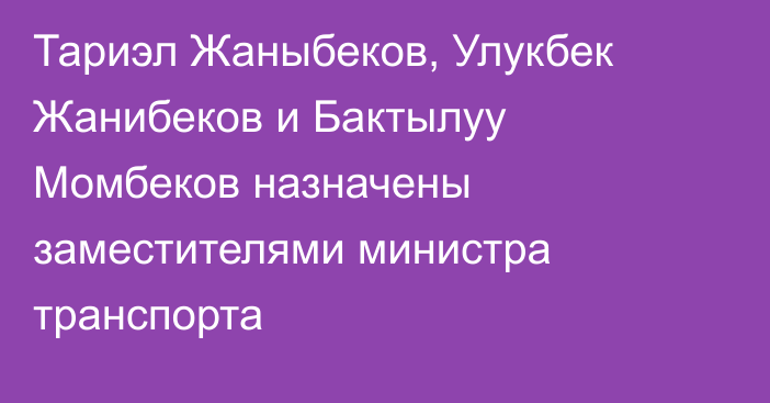 Тариэл Жаныбеков, Улукбек Жанибеков и Бактылуу Момбеков назначены заместителями министра транспорта