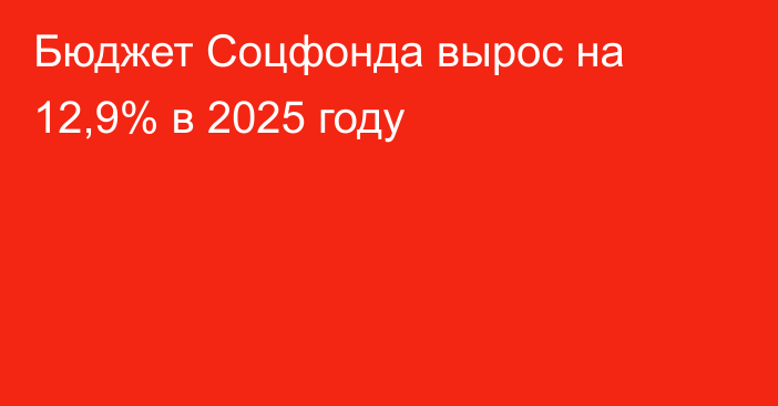 Бюджет Соцфонда вырос на 12,9% в 2025 году