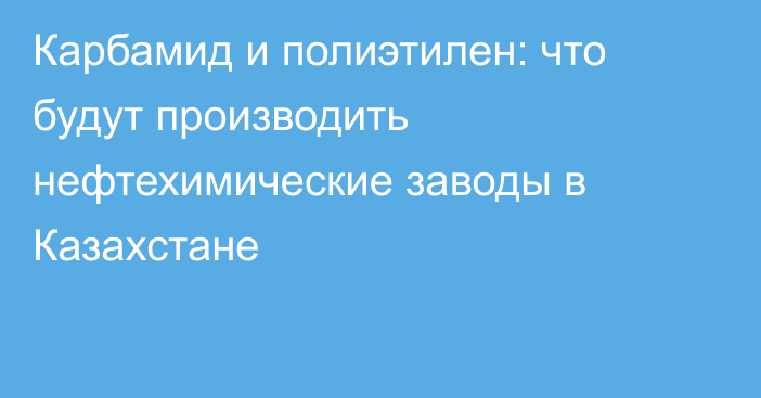 Карбамид и полиэтилен: что будут производить нефтехимические заводы в Казахстане
