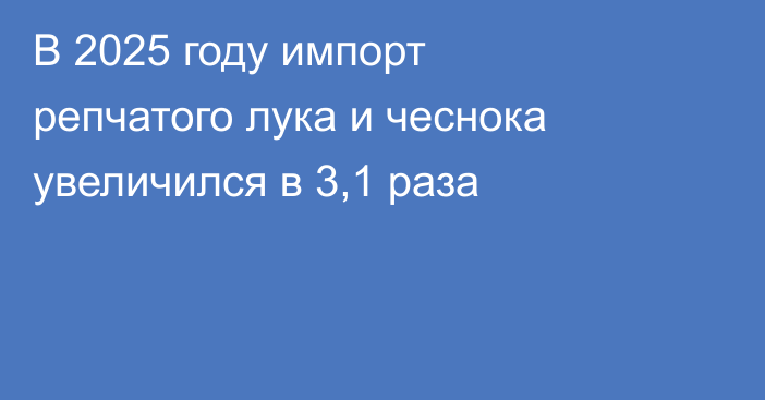В 2025 году импорт репчатого лука и чеснока увеличился в 3,1 раза 