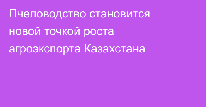 Пчеловодство становится новой точкой роста агроэкспорта Казахстана