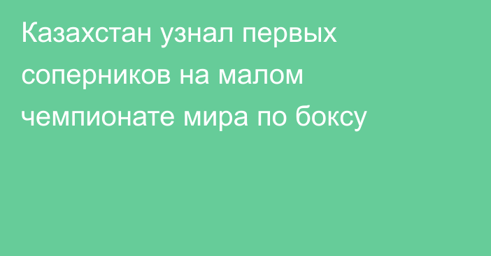 Казахстан узнал первых соперников на малом чемпионате мира по боксу