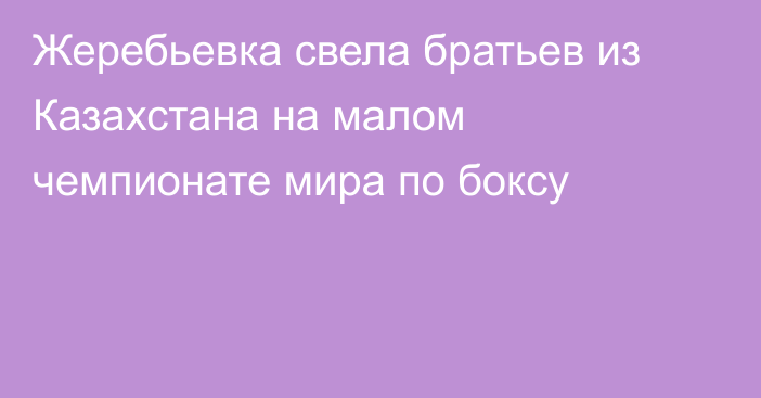 Жеребьевка свела братьев из Казахстана на малом чемпионате мира по боксу