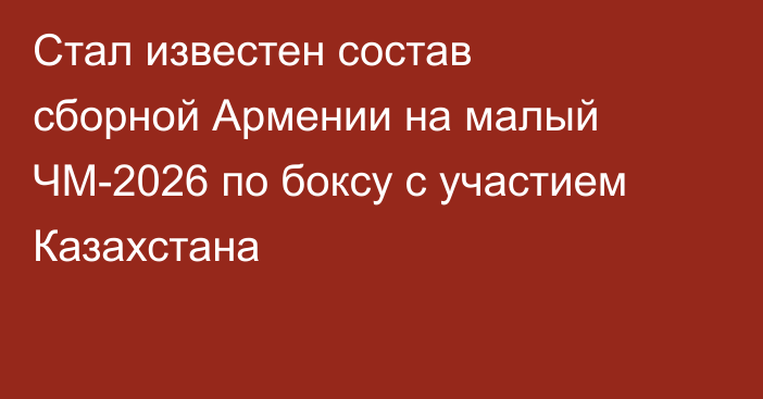Стал известен состав сборной Армении на малый ЧМ-2026 по боксу с участием Казахстана