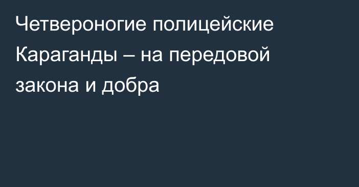Четвероногие полицейские Караганды – на передовой закона и добра