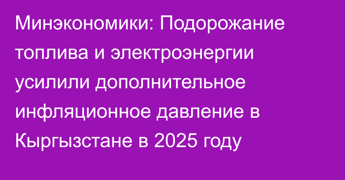 Минэкономики: Подорожание топлива и электроэнергии усилили дополнительное инфляционное давление в Кыргызстане в 2025 году