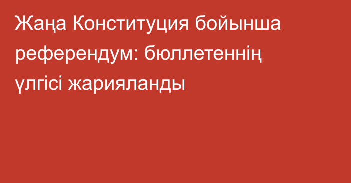 Жаңа Конституция бойынша референдум: бюллетеннің үлгісі жарияланды