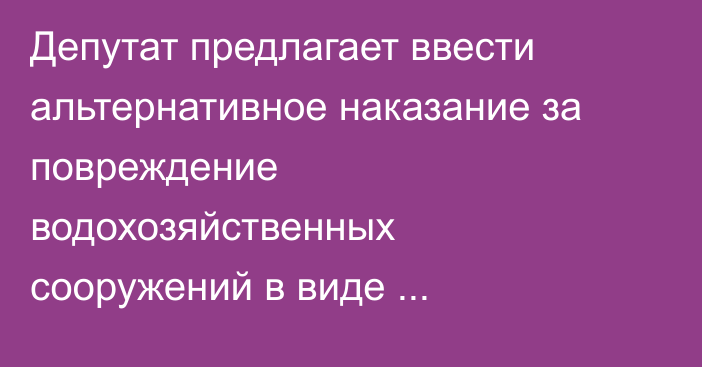 Депутат предлагает ввести альтернативное наказание за повреждение водохозяйственных сооружений в виде общественных работ