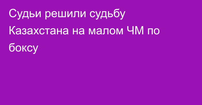 Судьи решили судьбу Казахстана на малом ЧМ по боксу