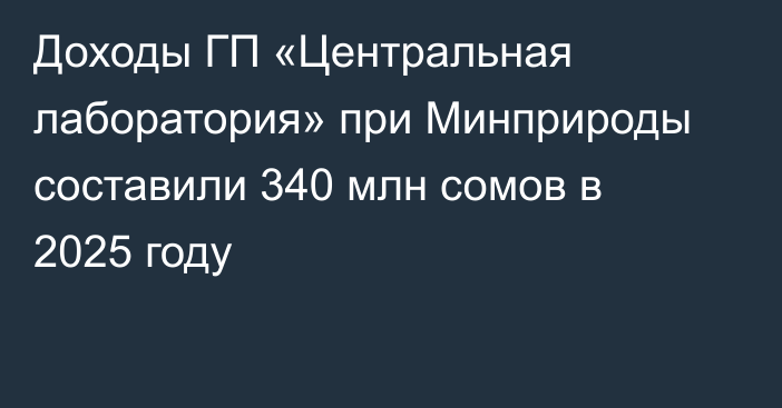 Доходы ГП «Центральная лаборатория» при Минприроды составили 340 млн сомов в 2025 году