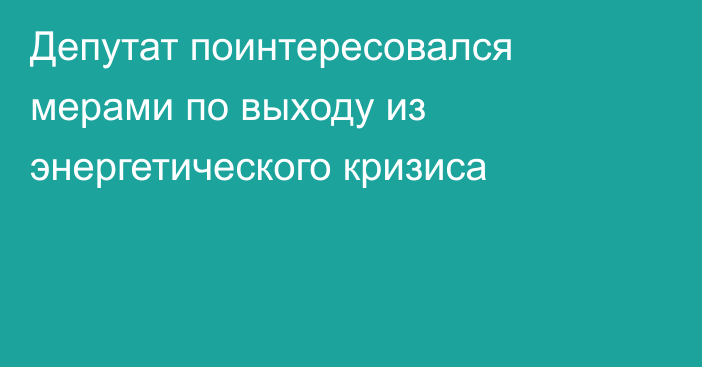 Депутат поинтересовался мерами по выходу из энергетического кризиса