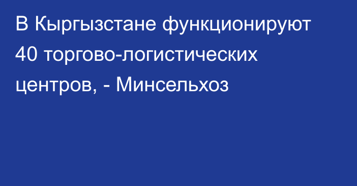 В Кыргызстане функционируют 40 торгово-логистических центров, - Минсельхоз
