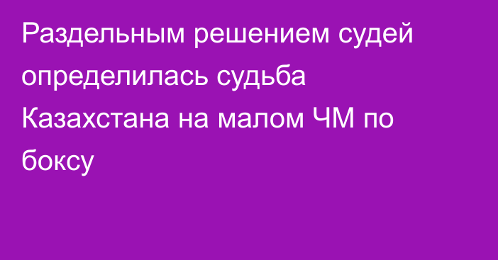 Раздельным решением судей определилась судьба Казахстана на малом ЧМ по боксу