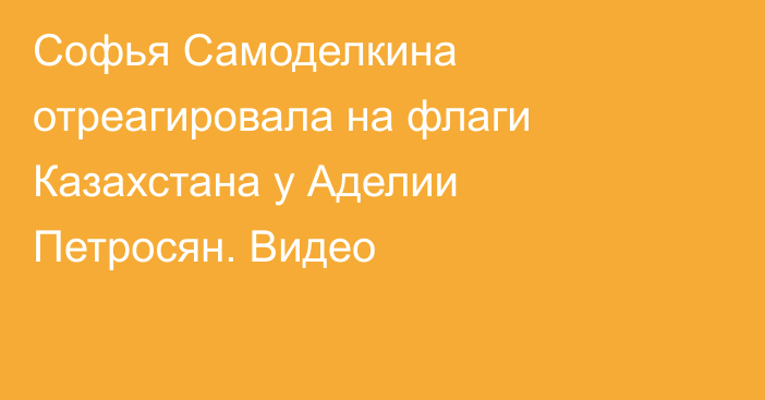 Софья Самоделкина отреагировала на флаги Казахстана у Аделии Петросян. Видео