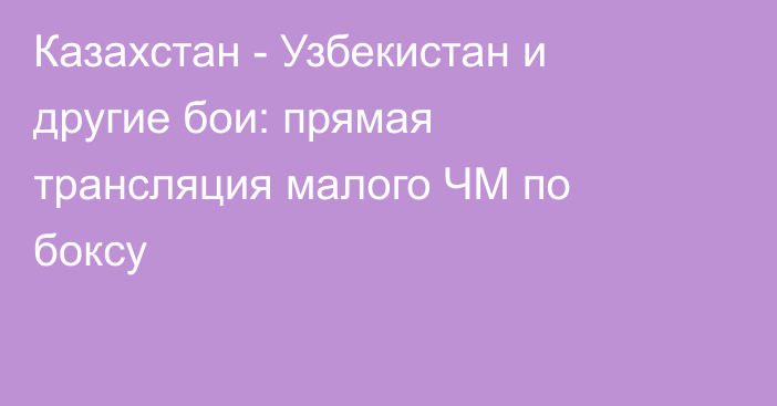 Казахстан - Узбекистан и другие бои: прямая трансляция малого ЧМ по боксу