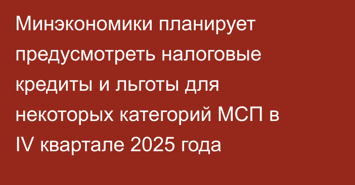 Минэкономики планирует предусмотреть налоговые кредиты и льготы для некоторых категорий МСП в IV квартале 2025 года