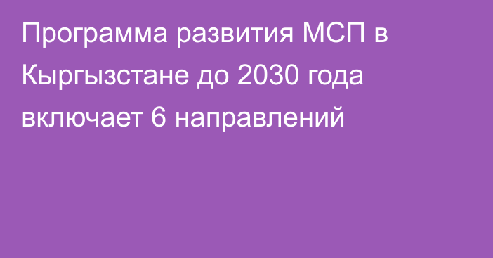 Программа развития МСП в Кыргызстане до 2030 года включает 6 направлений