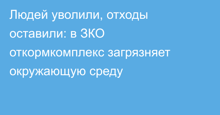 Людей уволили, отходы оставили: в ЗКО откормкомплекс загрязняет окружающую среду
