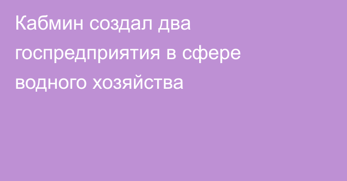 Кабмин создал два госпредприятия в сфере водного хозяйства
