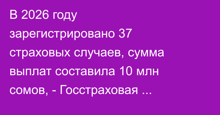 В 2026 году зарегистрировано 37 страховых случаев, сумма выплат составила 10 млн сомов, - Госстраховая организация