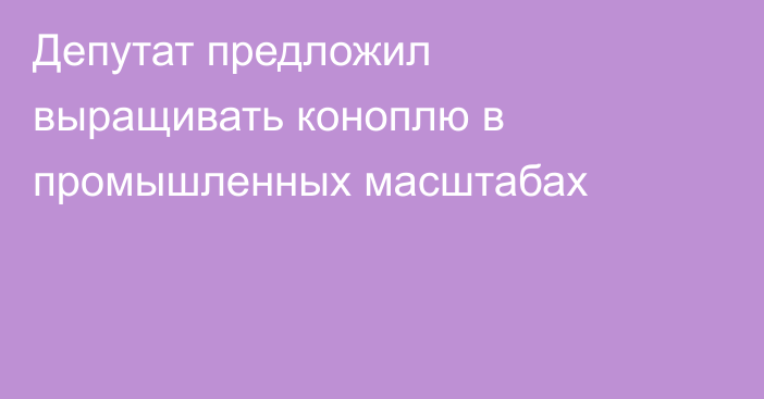 Депутат предложил выращивать коноплю в промышленных масштабах
