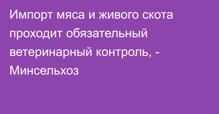 Импорт мяса и живого скота проходит обязательный ветеринарный контроль, - Минсельхоз