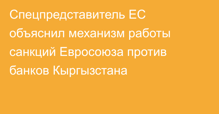 Спецпредставитель ЕС объяснил механизм работы санкций Евросоюза против банков Кыргызстана