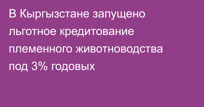 В Кыргызстане запущено льготное кредитование племенного животноводства под 3% годовых