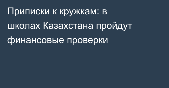 Приписки к кружкам: в школах Казахстана пройдут финансовые проверки