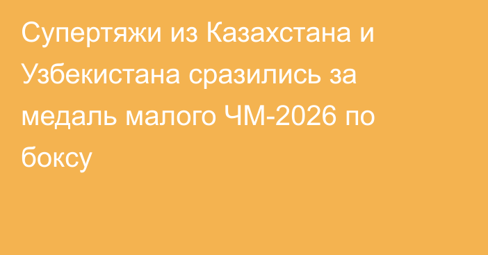 Супертяжи из Казахстана и Узбекистана сразились за медаль малого ЧМ-2026 по боксу