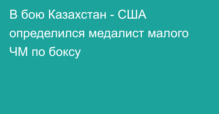 В бою Казахстан - США определился медалист малого ЧМ по боксу