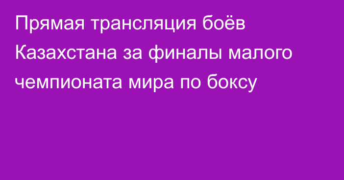 Прямая трансляция боёв Казахстана за финалы малого чемпионата мира по боксу