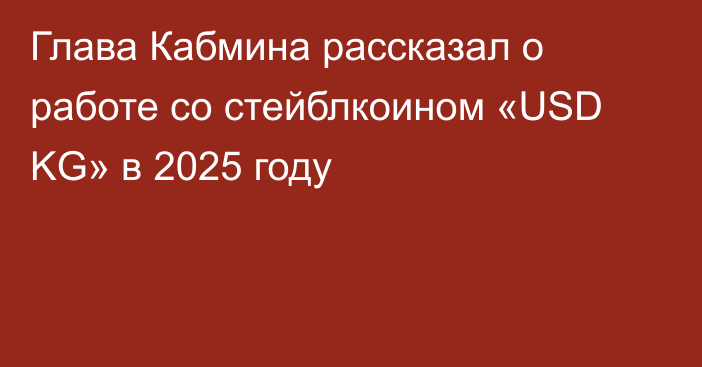 Глава Кабмина рассказал о работе со стейблкоином «USD KG» в 2025 году