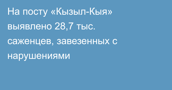 На посту «Кызыл-Кыя» выявлено 28,7 тыс. саженцев, завезенных с нарушениями
