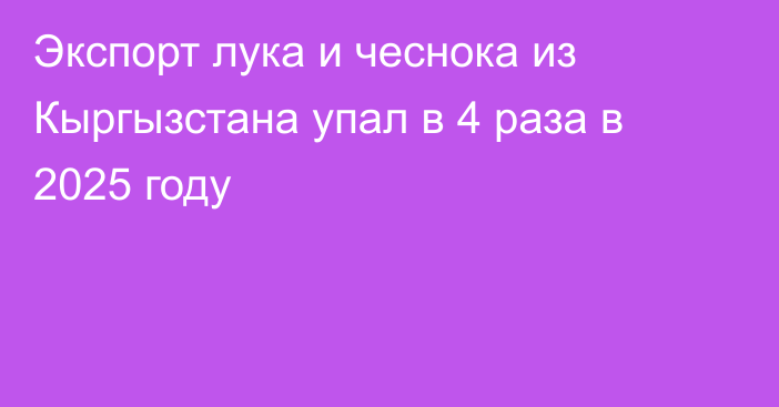 Экспорт лука и чеснока из Кыргызстана упал в 4 раза в 2025 году