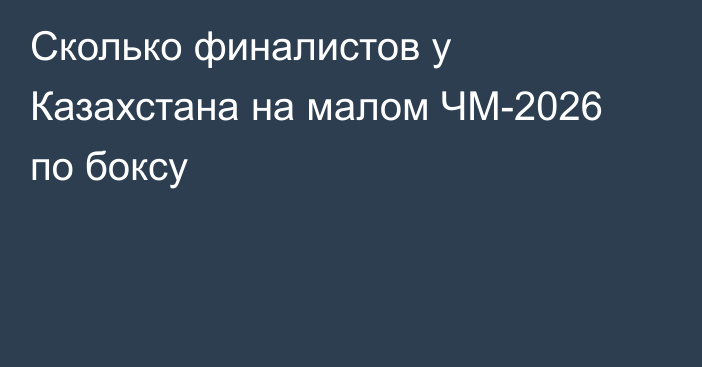 Сколько финалистов у Казахстана на малом ЧМ-2026 по боксу