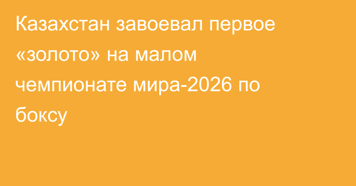 Казахстан завоевал первое «золото» на малом чемпионате мира-2026 по боксу