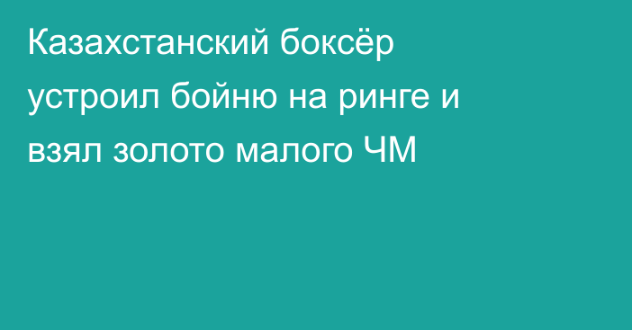 Казахстанский боксёр устроил бойню на ринге и взял золото малого ЧМ
